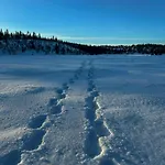 With Views Of Smorlifjell In Valdres Prázdninový dům *